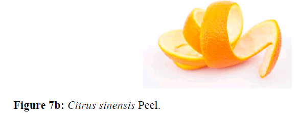 internalmedicine-Citrus-sinensis