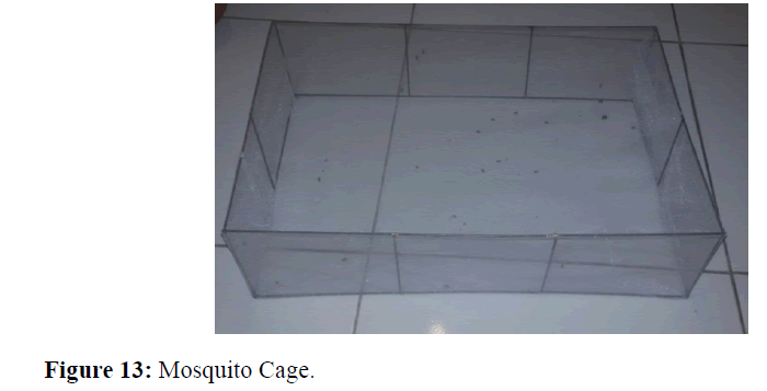 internalmedicine-Mosquito-Cage